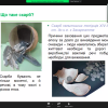 Участь студентів у вебінарі «Таємниці давніх скарбів – витоки історії заощадження»
