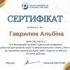 Результати науково-дослідної роботи магістрів спеціальності 072 “Фінанси, банківська справа та страхування” в Центрі компетенцій цифрових фінансів та е-бізнесу
