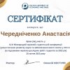 Результати науково-дослідної роботи магістрів спеціальності 072 “Фінанси, банківська справа та страхування” в Центрі компетенцій цифрових фінансів та е-бізнесу