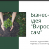Бізнес-ідеї студентів: продукування та навчальна експертиза