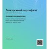 Можливості неформальної освіти  - для формування підприємницьких навичок у креативній індустрії