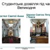Проміжний звіт про “Подвійне навчання” за 2020 рік 