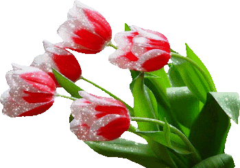 Orlova Nataliya Oleksandrivna 1